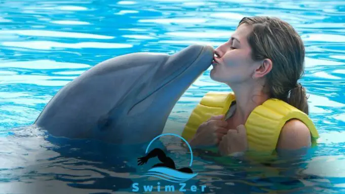 Can You Swim With Dolphins at Coco Cay